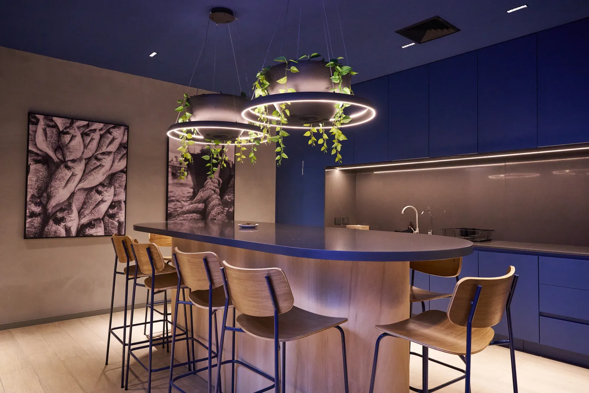 Espacio azul de cocina y encuentro institucional